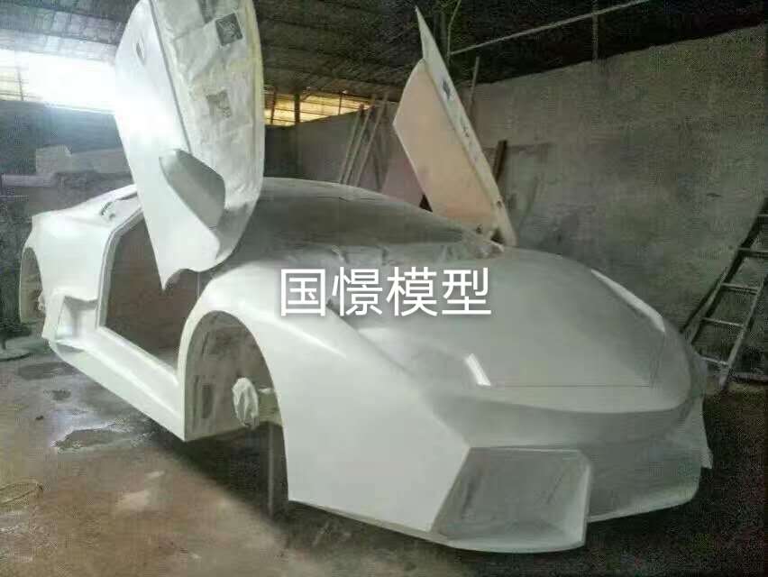 金阳县车辆模型