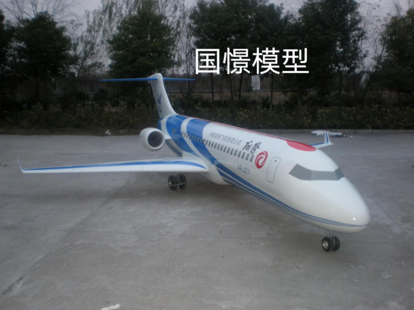 金阳县飞机模型